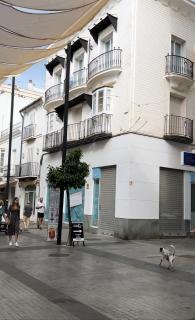 Gosol Lemon 2 - Sanlúcar de Barrameda - 7