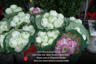 Phúc Đức Hotel - Thanh Hóa - 3