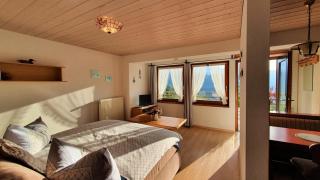 1 Bergpanorama und atemberaubende alpine Almlandschaft für absolute Nichtraucher - 3