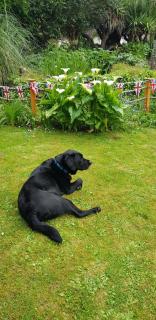 Rose Court Holiday Apartments - 2