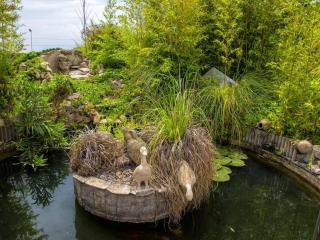 Finca Montnegre Suites and Spa - Sant Iscle de Vallalta - 1