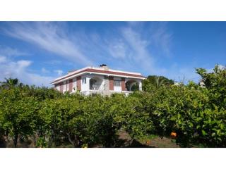 Villa Manolita in the area of Busot with 5 bedrooms and large private swimming pool! - Alicante - 7