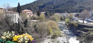 Studio Amèlie les bains - Amélie-les-Bains-Palalda - 5