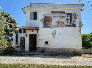Azienda Agricola Sapereta - Porto Azzurro - 4