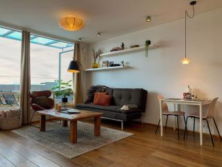 Laugavegur Penthouse - 9