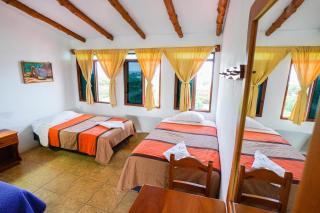 Galapagos Verde Azul - 6