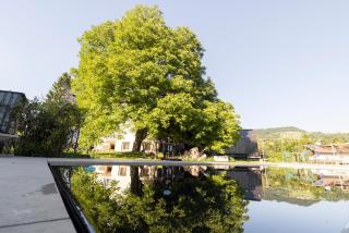 Michlhaus nature and suites - Aldino - 9