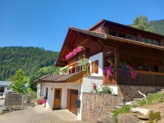 Haus Simma - Au im Bregenzerwald - 9