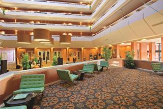 DoubleTree by Hilton Springfield - Springfield - 7