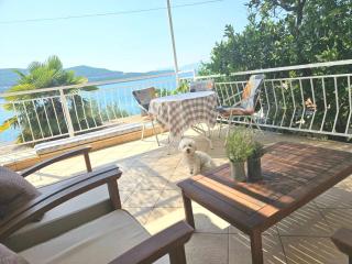 Orange Tree Mediterranean Beachfront House - Neum - 2
