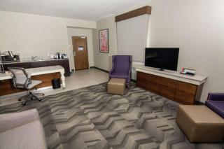 Hilton Garden Inn Tampa Suncoast Parkway - Lutz - 3