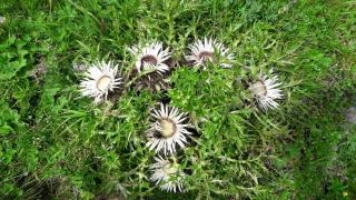 Ferienwohnung Rudigier - 2