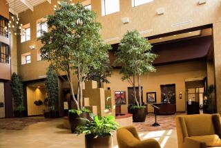 Embassy Suites by Hilton Minneapolis North - Brooklyn Center - 6