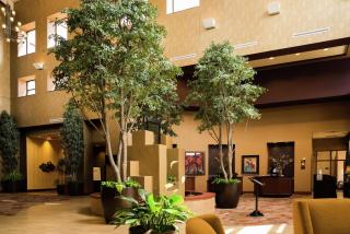 Embassy Suites by Hilton Minneapolis North - Brooklyn Center - 2
