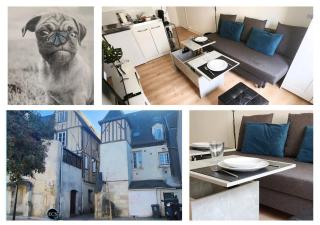 "Colbert Studio" Cœur de Ville - Cathédrale Saint Gatien - Tours - 8