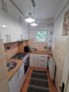 Apartament Ocnele Mari - Ocnele Mari - 2