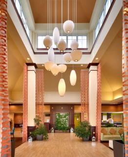 Hilton Garden Inn Clarksville - Clarksville - 1