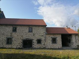 Relais du lac de la Truyère - Anglards-de-Saint-Flour - 9
