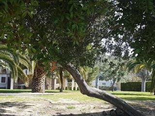 Villa Venus - Metókhion Ayías Kiriakís - 2