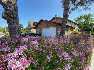 Lovely house in a nice community - 0