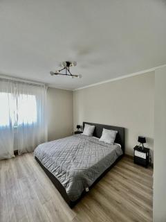À 10 min du centre de strasbourg appartement netflix - Strasburgo - 4