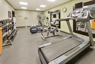 Hampton Inn & Suites Childress - Childress - 4