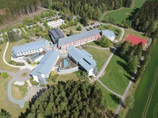 Green Night Hotel - Falkenstein - 8