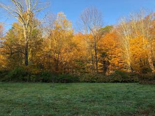 Modern Cottage One (The Lorca, Catskills) - Shandaken - 9