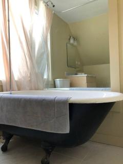 Modern Cottage Two (The Lorca, Catskills) - Shandaken - 3