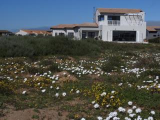 Lagoon Links Studio - Langebaan - 0
