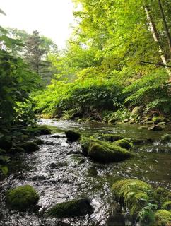 Stream House (The Lorca, Catskills) - Shandaken - 2