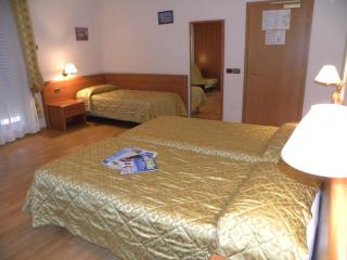 Hotel Sant'Ilario - 1