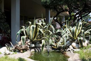Rooms Villa Bergamo Airport - Scanzorosciate - 8
