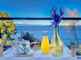 "Los laureles" vista al lago - Frutillar - 9