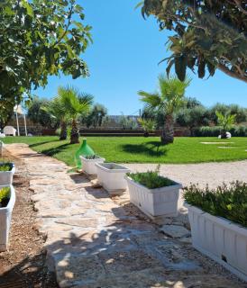 La campagna di Gisella, Polignano a Mare - Polignano a Mare - 1