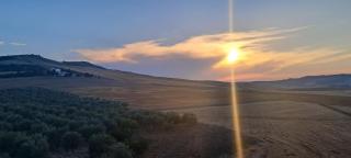 La Commenda di Picciano - Country House - Matera - 5