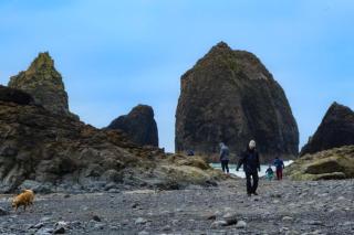 Cape Crescent - 5