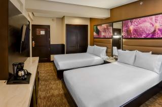 Hilton Garden Inn Guatemala City - Guatemala - 7