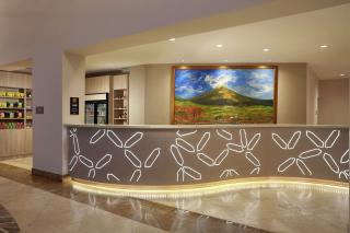DoubleTree by Hilton Managua - 8