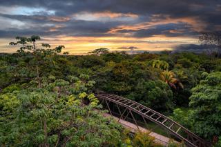Botanika Osa Peninsula, Curio Collection By Hilton - Puerto Jiménez - 9