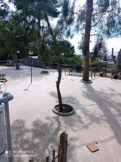 Appartamento in villa con pineta - Leporano Marina - 4