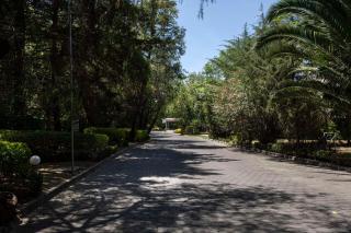Hilton MM Grand Hotel Puebla, Tapestry Collection - 1