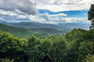 Jump Off Rock Retreat - Hendersonville - 6