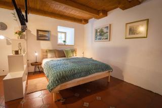 Studio Apartment Pr' Mirotu - Osilnica - 2