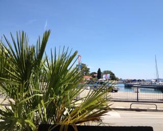 Studio Apartments with Terrace near Sea - Angela's Apartments - 2