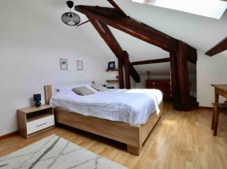 Les Hauts du Château - Chambéry - 4