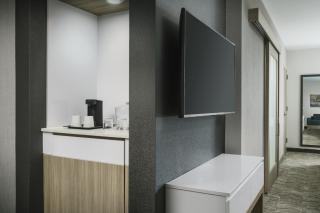 SpringHill Suites by Marriott Philadelphia West Chester/Exton - Exton - 8