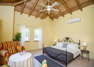 Exclusive Villa at Hideaway Beach - 1