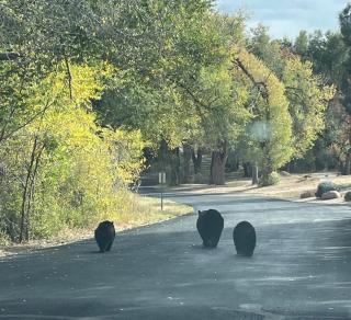 Celestial Casita - 1