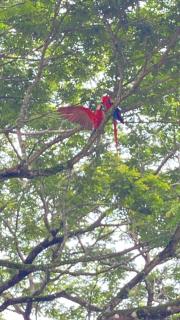 Las Plumas de Cabuya - Cabuya - 3